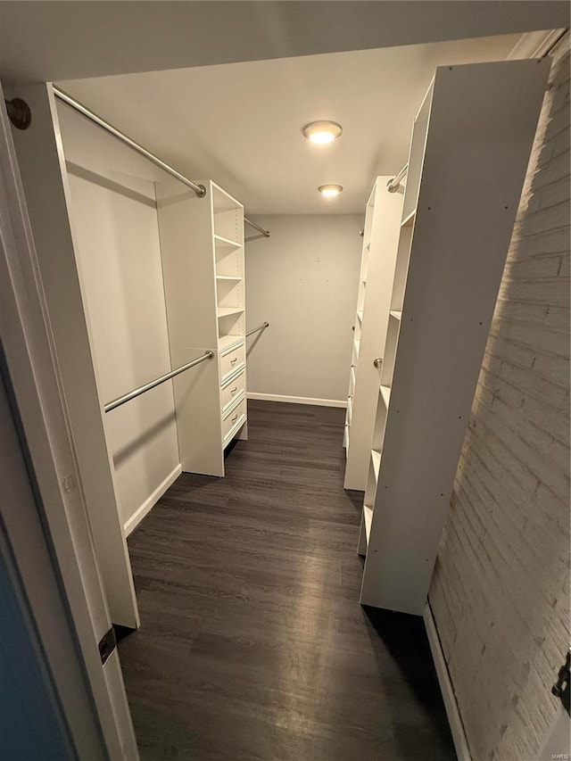 spacious closet featuring dark wood-type flooring