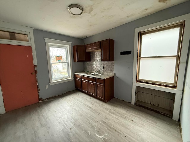 kitchen featuring tasteful backsplash, light hardwood / wood-style floors, and sink