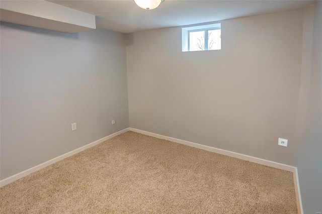 basement featuring carpet