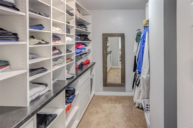 spacious closet with light colored carpet