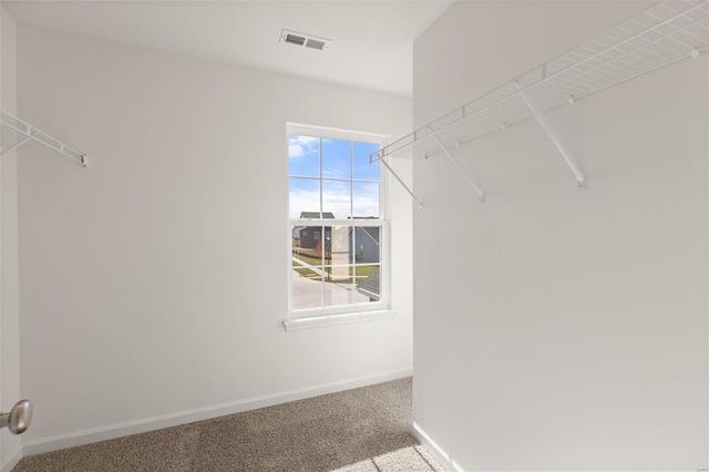 spacious closet featuring light carpet