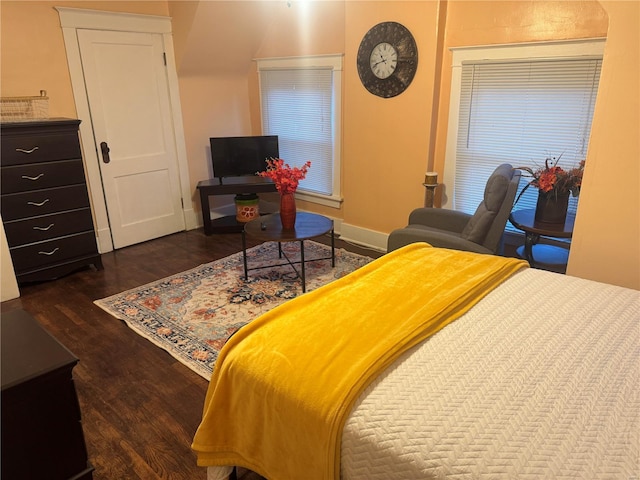 bedroom with dark hardwood / wood-style floors