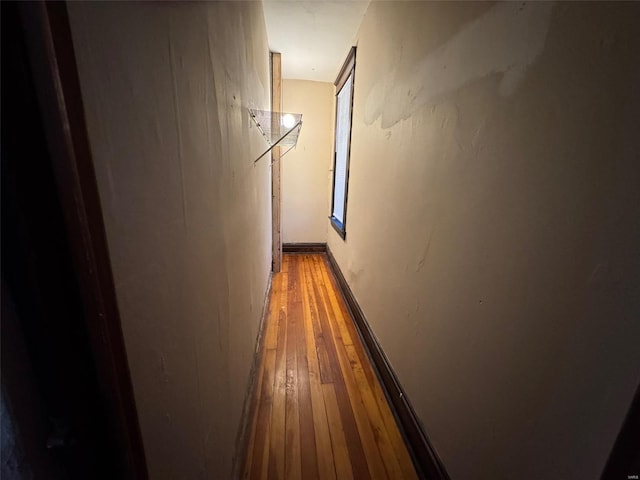 hall featuring hardwood / wood-style floors