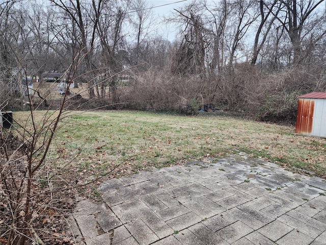 view of yard featuring a patio