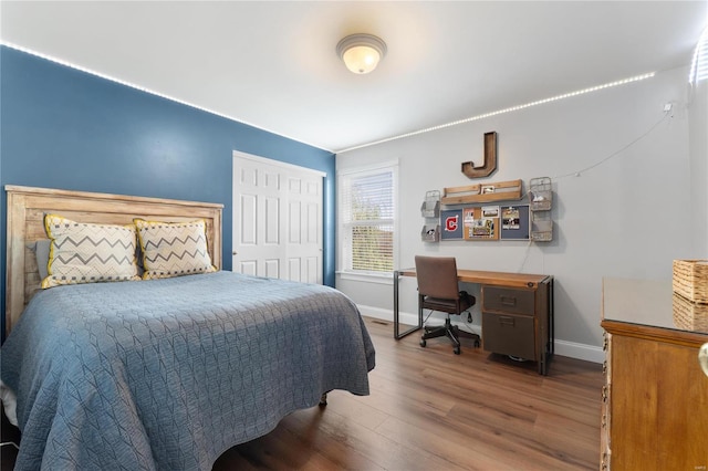 bedroom with hardwood / wood-style floors and a closet