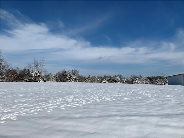 view of yard layered in snow