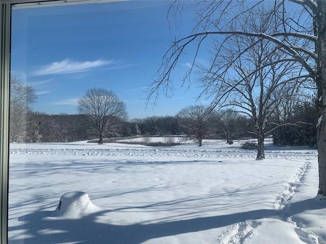 view of yard layered in snow