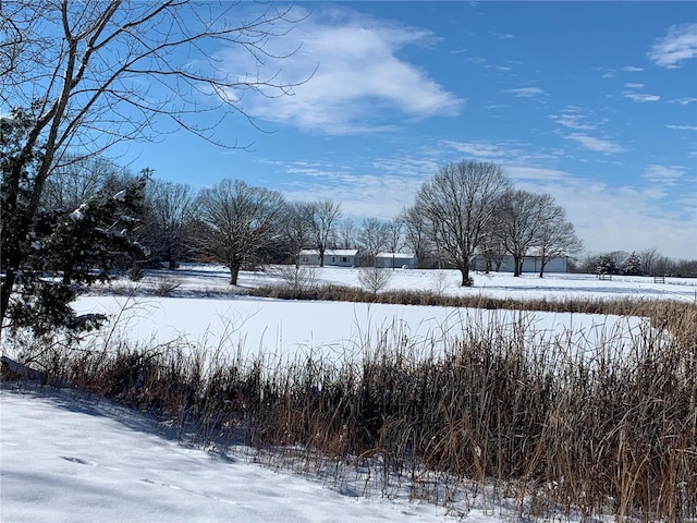 view of yard layered in snow