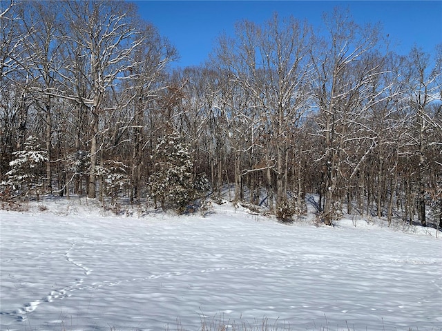 view of snowy view