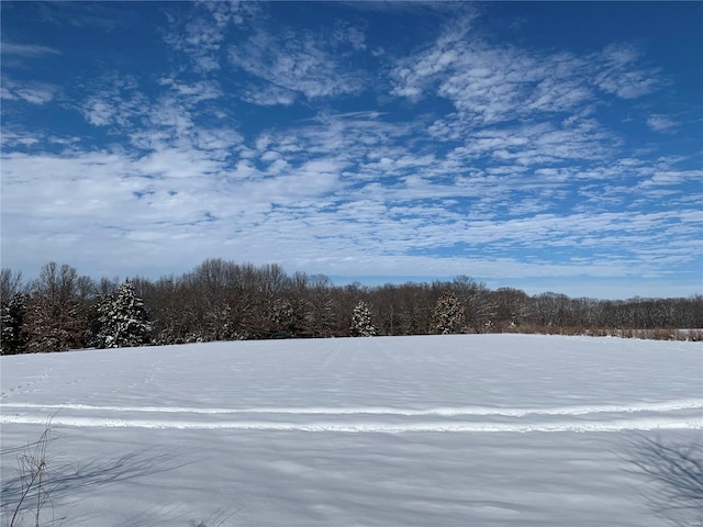 view of snowy yard