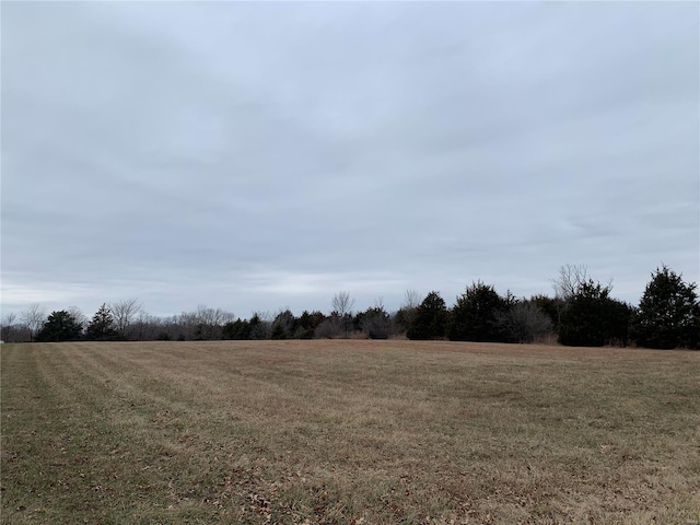 view of yard featuring a rural view