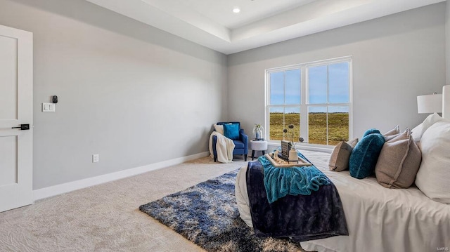 carpeted bedroom with a raised ceiling