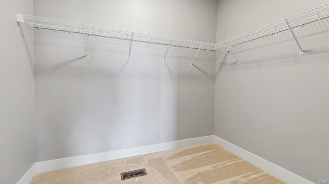 spacious closet with carpet floors