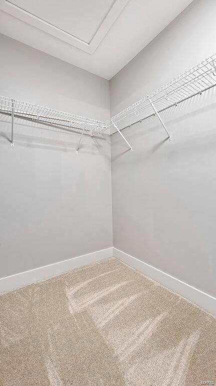 walk in closet featuring carpet flooring