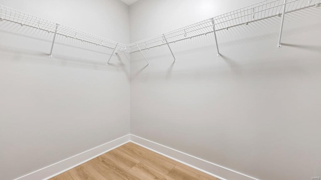 walk in closet featuring wood-type flooring