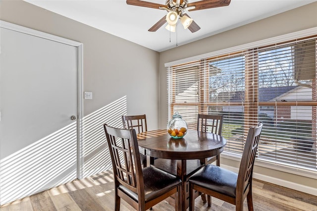 dining space featuring hardwood / wood-style flooring, ceiling fan, and a wealth of natural light