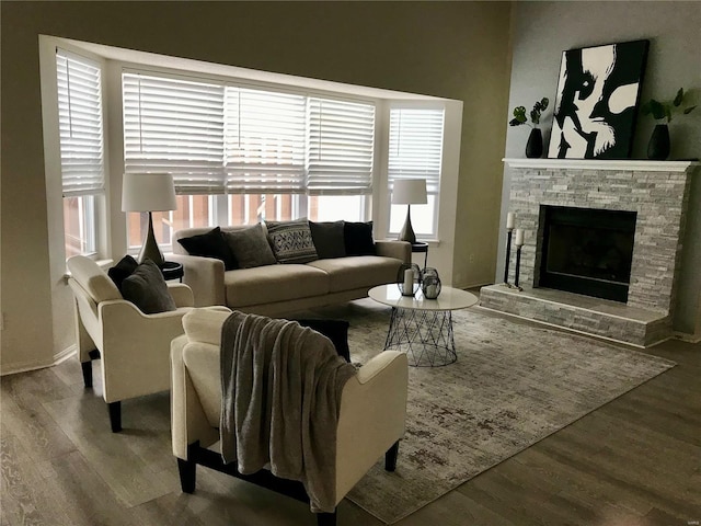 living room featuring a fireplace and wood finished floors