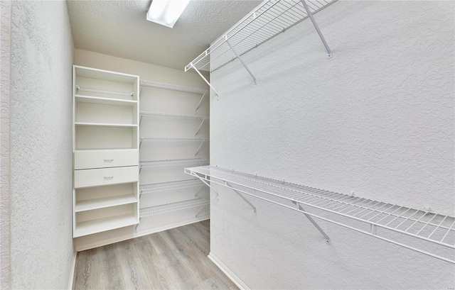 walk in closet featuring wood finished floors