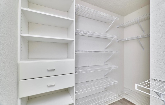 spacious closet featuring wood finished floors