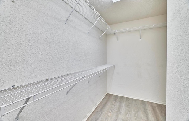 walk in closet featuring wood finished floors