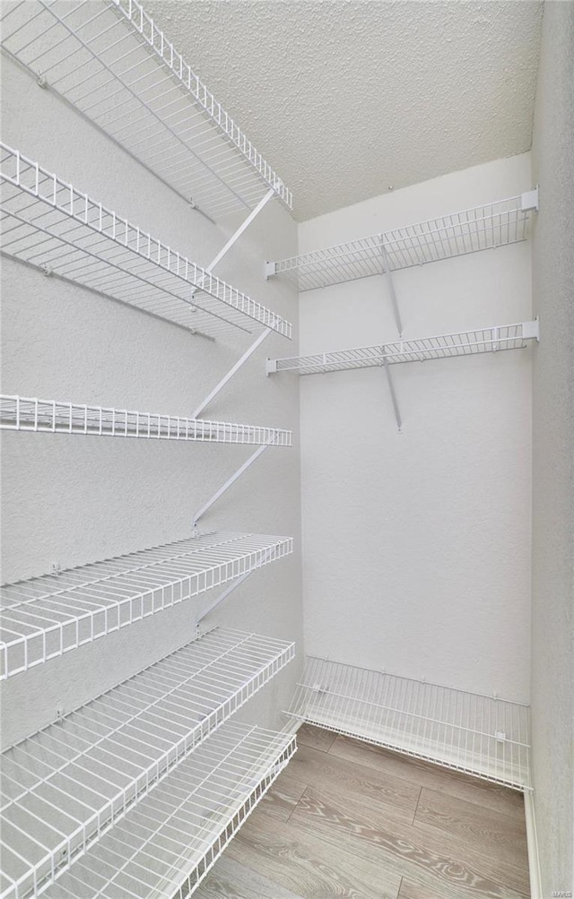 spacious closet with wood finished floors