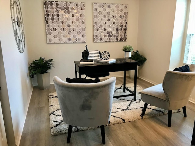 office with baseboards and wood finished floors