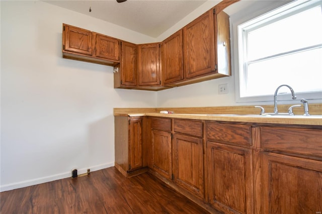 kitchen with sink and dark wood-type flooring