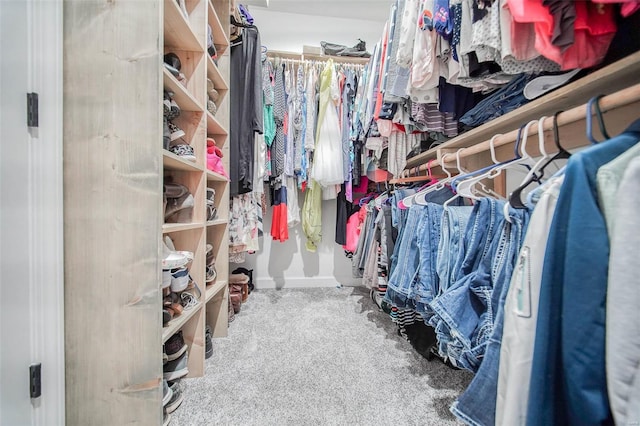 spacious closet featuring carpet