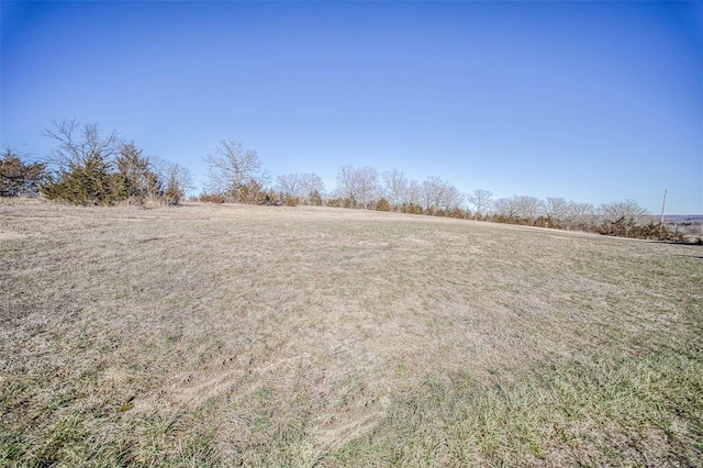 view of yard featuring a rural view