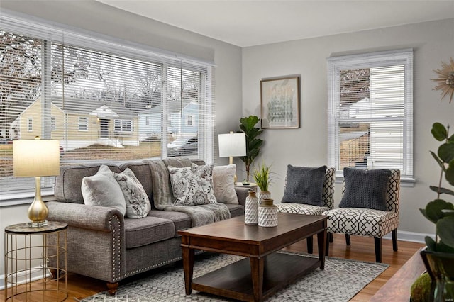 living room featuring hardwood / wood-style flooring