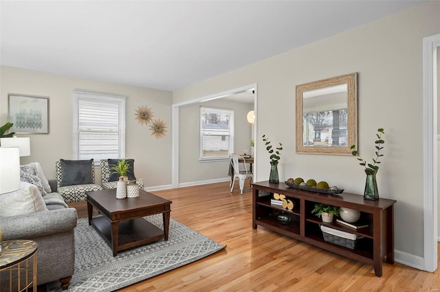 living room with wood-type flooring