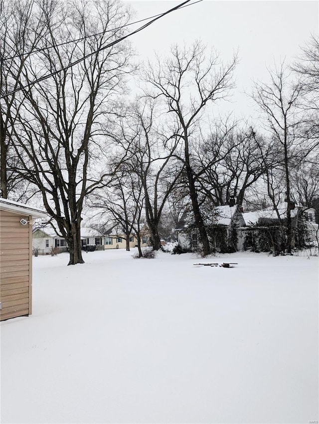 view of yard covered in snow