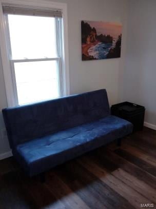 living area with dark wood-type flooring