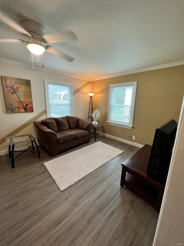 living room with a wealth of natural light, ceiling fan, dark hardwood / wood-style floors, and ornamental molding