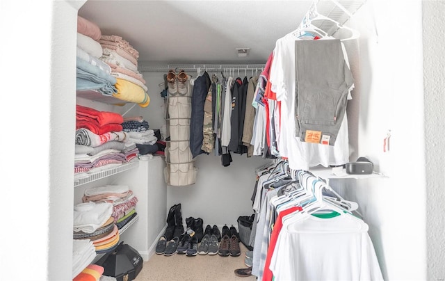 view of spacious closet