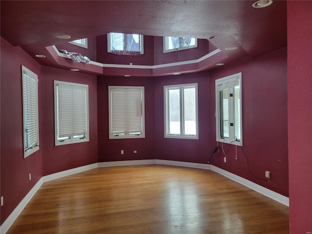 empty room featuring a raised ceiling and wood-type flooring