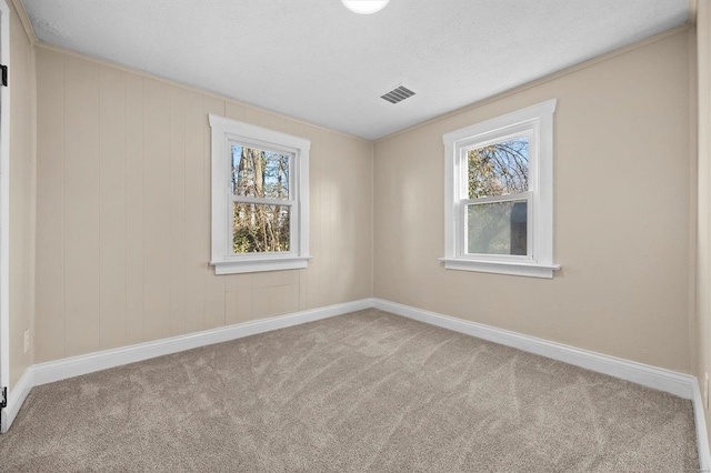 empty room with a wealth of natural light and carpet