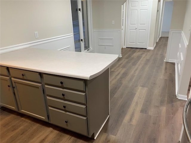 kitchen featuring gray cabinets and dark hardwood / wood-style flooring