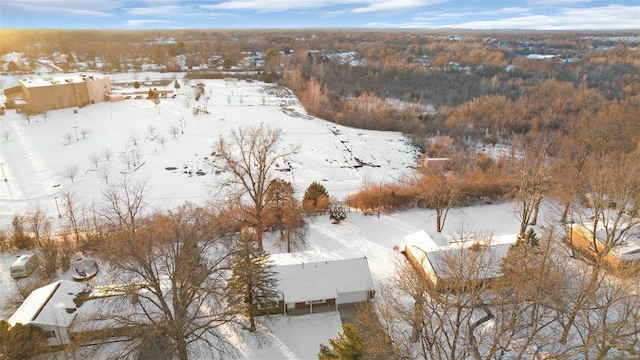 view of snowy aerial view