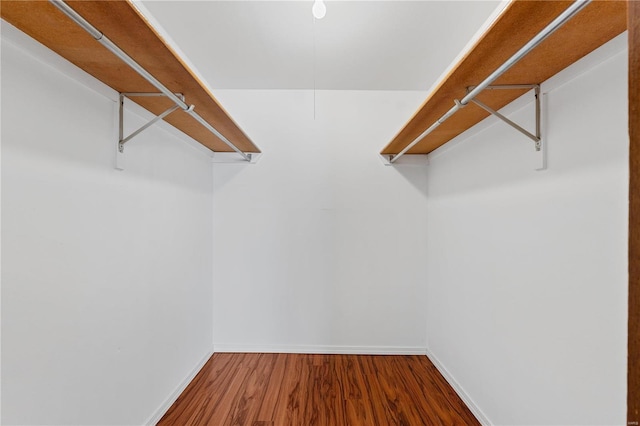 walk in closet featuring hardwood / wood-style floors