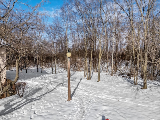 view of yard covered in snow