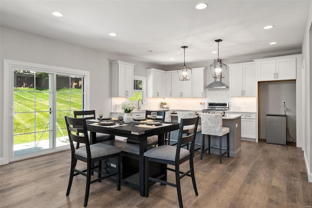 dining space featuring hardwood / wood-style flooring and plenty of natural light