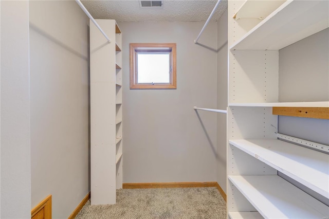 walk in closet with light carpet