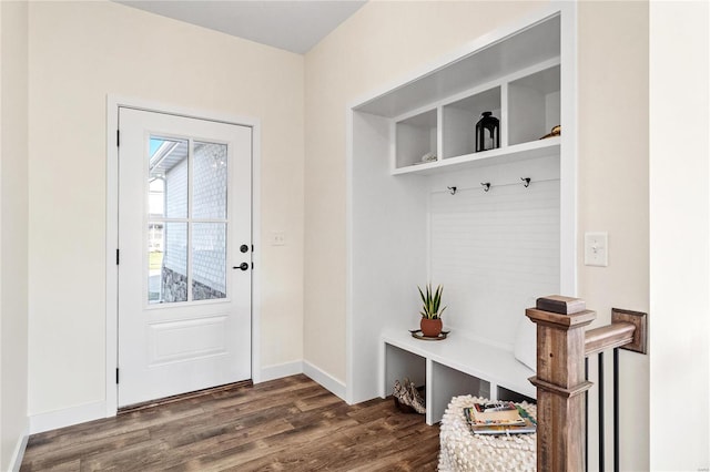 mudroom featuring dark hardwood / wood-style flooring