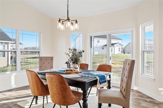 dining space with wood-type flooring and a healthy amount of sunlight