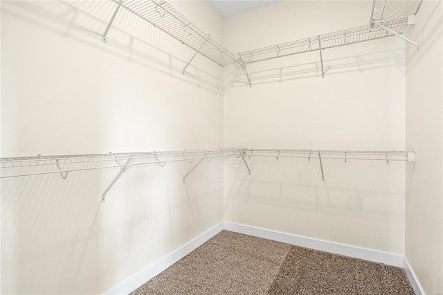 spacious closet featuring carpet