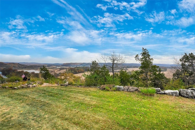 view of yard featuring a rural view