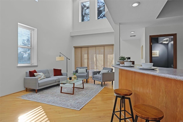 living room featuring a towering ceiling and wood-type flooring