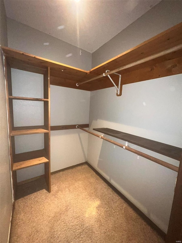 spacious closet with carpet