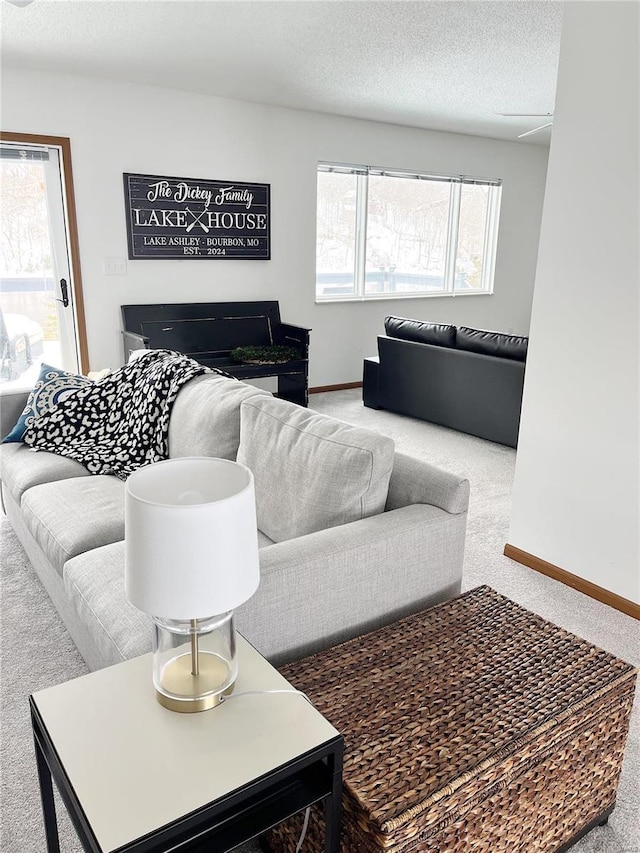 living room featuring a textured ceiling and carpet flooring